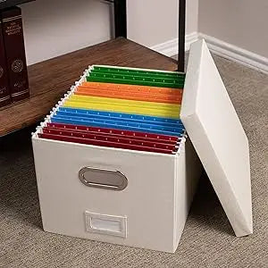 Internet's Best Collapsible Storage Organizer with Lid